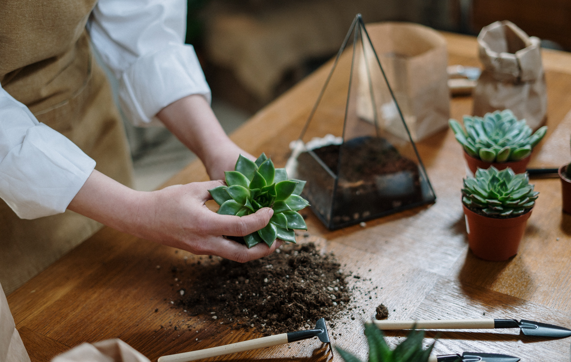 Carranza lawn service 